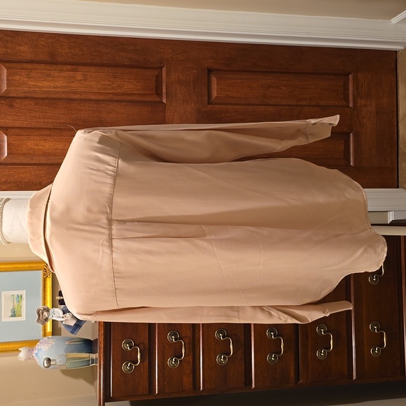 Silky Champagne blouse - Picture 5 of 7